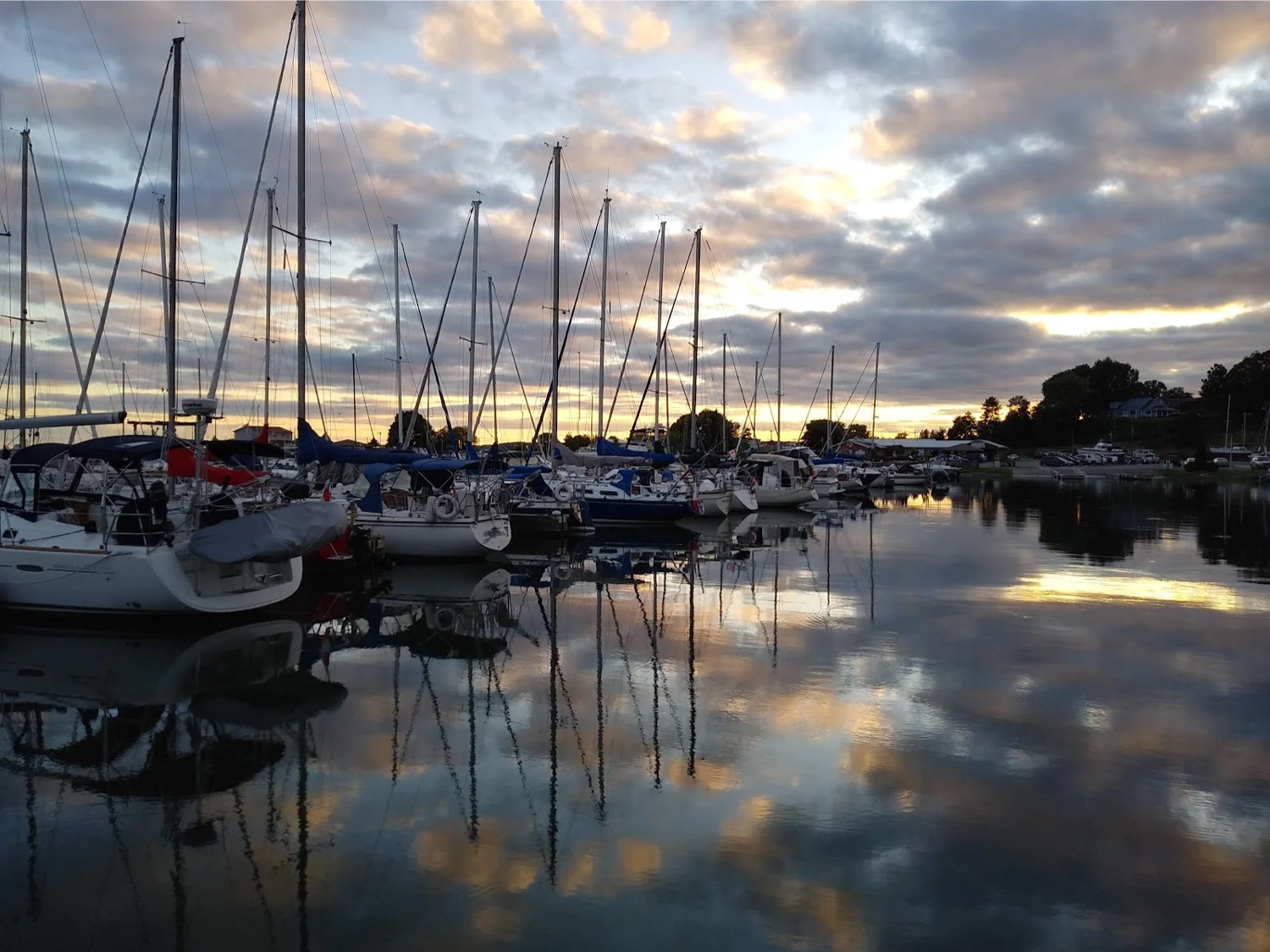 boats