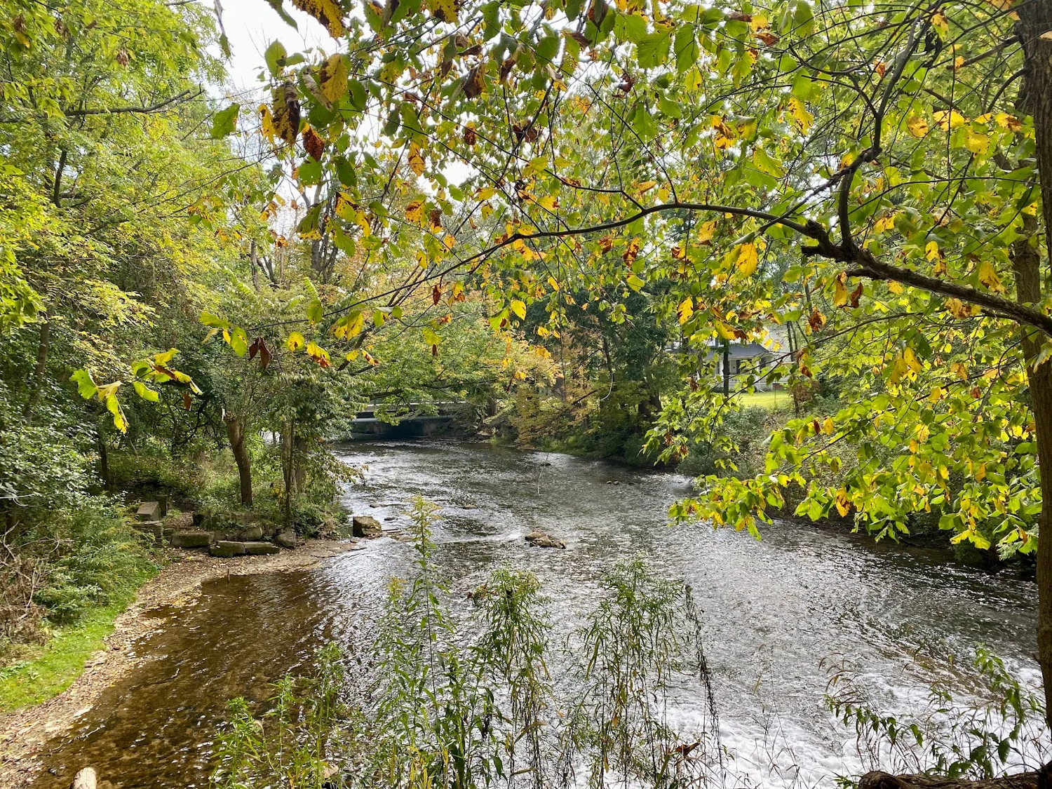 falls2